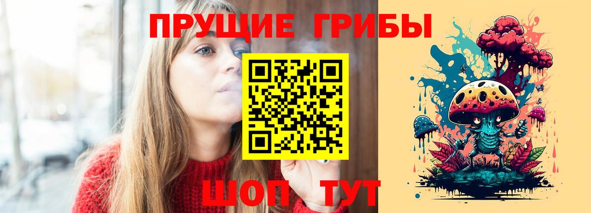 Новодвинск  Псилоцибиновые грибы Psilocybine cubensis  Вход с VPN  Галлюциногенные грибы Psilocybe 