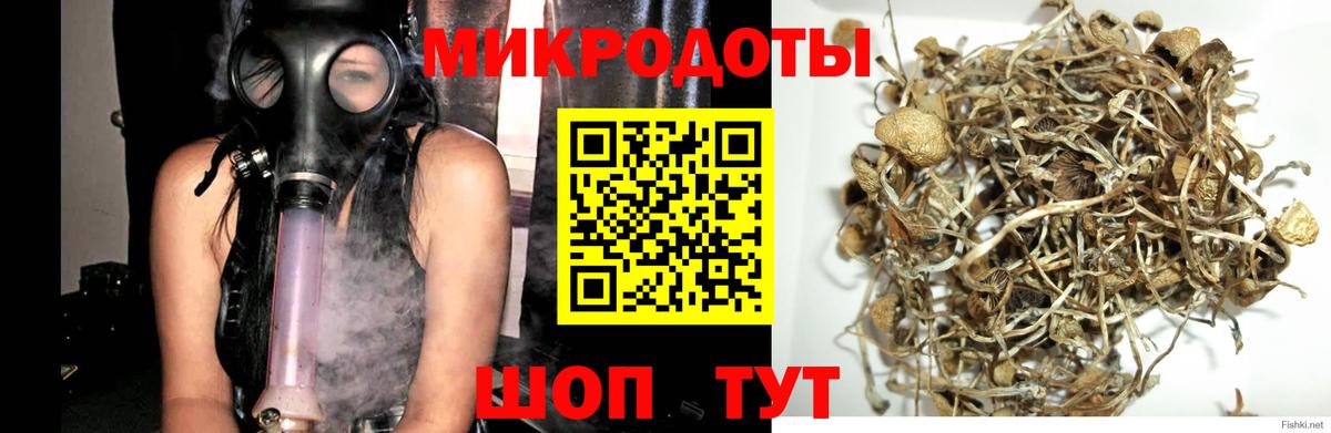 Галлюциногенные грибы Cubensis Новодвинск